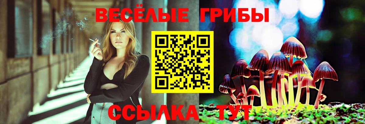 Псилоцибиновые грибы MAGIC MUSHROOMS Советская Гавань
